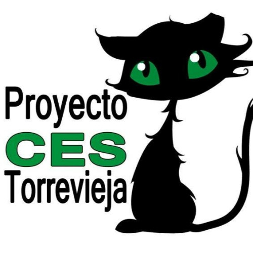 img principal ADOPTA Sitios Pet Friendly