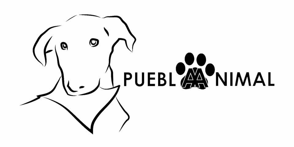 img principal ADOPTA Sitios Pet Friendly