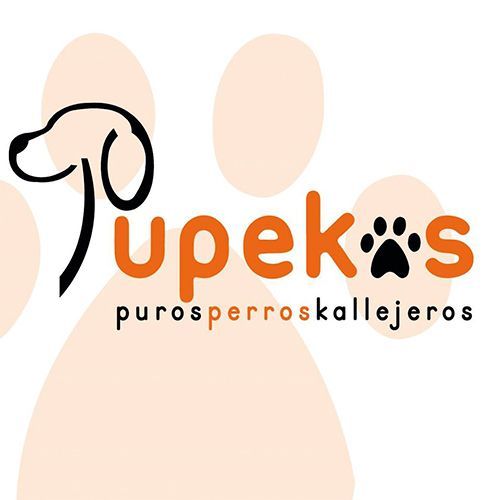 img principal ADOPTA Sitios Pet Friendly