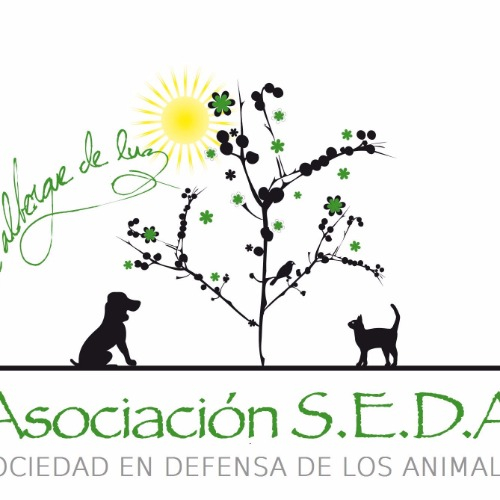img principal ADOPTA Sitios Pet Friendly