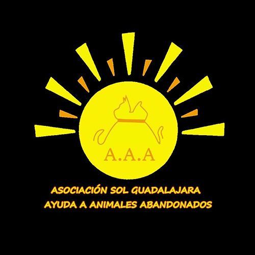 img principal ADOPTA Sitios Pet Friendly