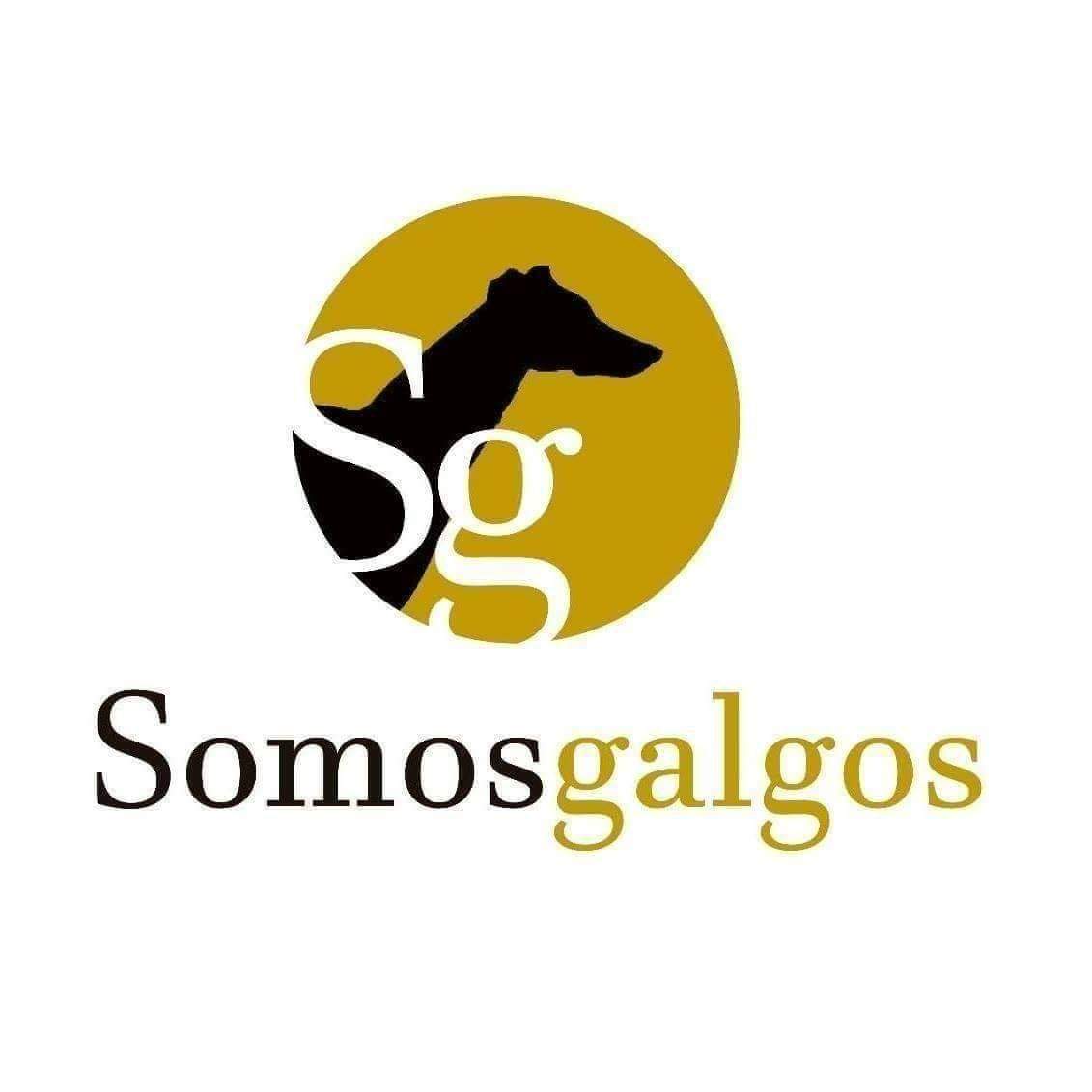img principal ADOPTA Sitios Pet Friendly