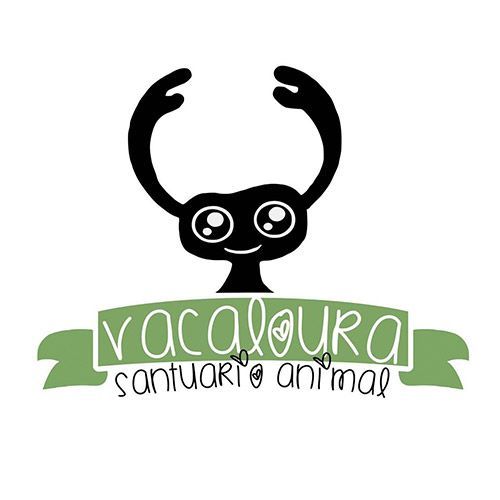 img principal ADOPTA Sitios Pet Friendly
