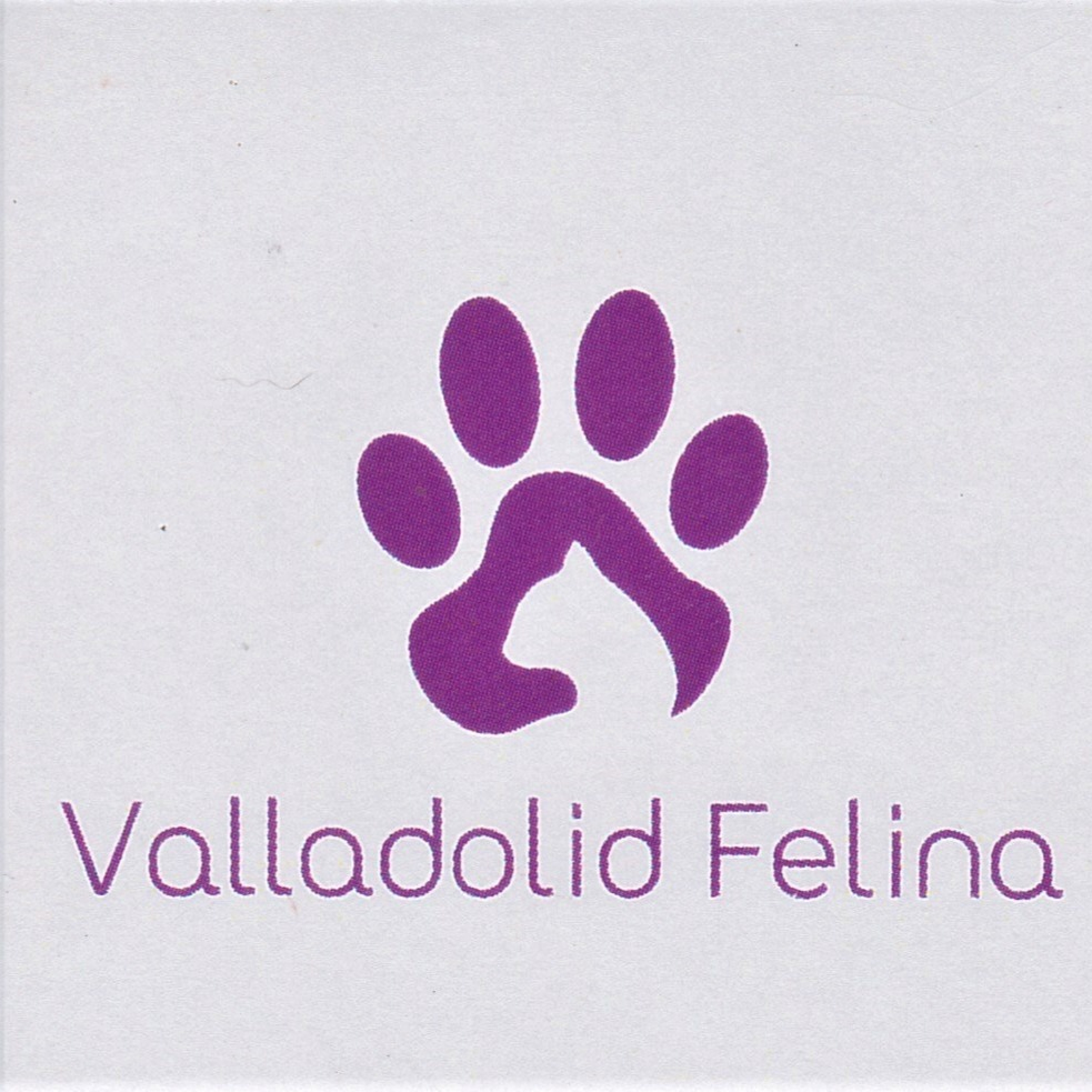 img principal ADOPTA Sitios Pet Friendly