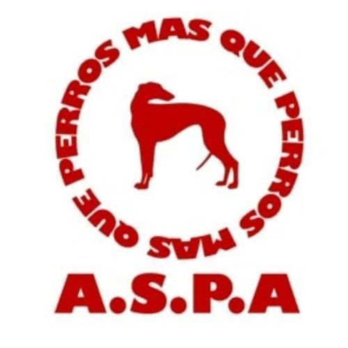 img principal ADOPTA Sitios Pet Friendly