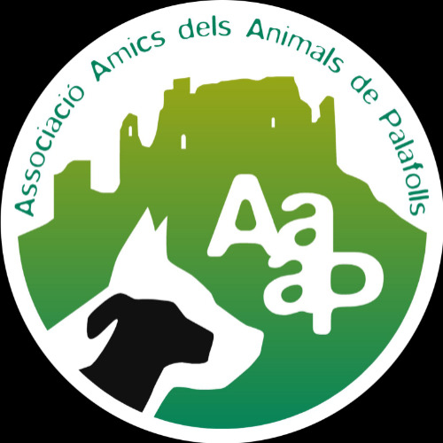 img principal ADOPTA Sitios Pet Friendly