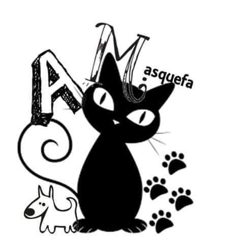 img principal ADOPTA Sitios Pet Friendly