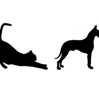 img principal ADOPTA Sitios Pet Friendly