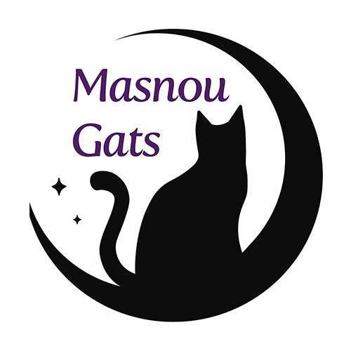 img principal ADOPTA Sitios Pet Friendly