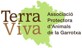 img principal ADOPTA Sitios Pet Friendly