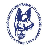 img principal ADOPTA Sitios Pet Friendly