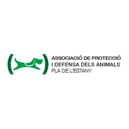 img principal ADOPTA Sitios Pet Friendly