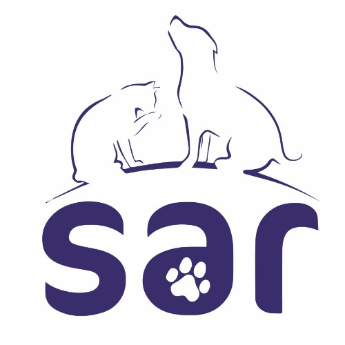 img principal ADOPTA Sitios Pet Friendly