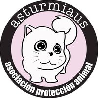 img principal ADOPTA Sitios Pet Friendly