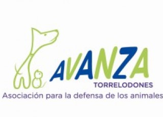 img principal ADOPTA Sitios Pet Friendly