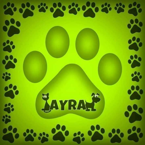 img principal ADOPTA Sitios Pet Friendly