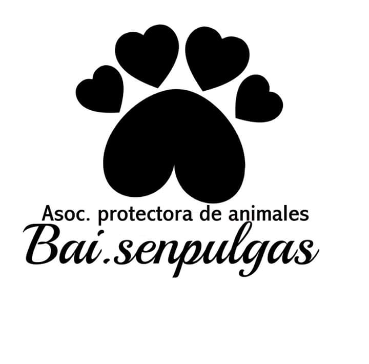 img principal ADOPTA Sitios Pet Friendly