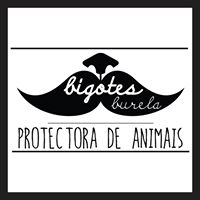 img principal ADOPTA Sitios Pet Friendly
