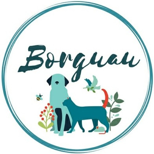 img principal ADOPTA Sitios Pet Friendly