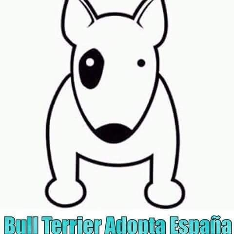 img principal ADOPTA Sitios Pet Friendly