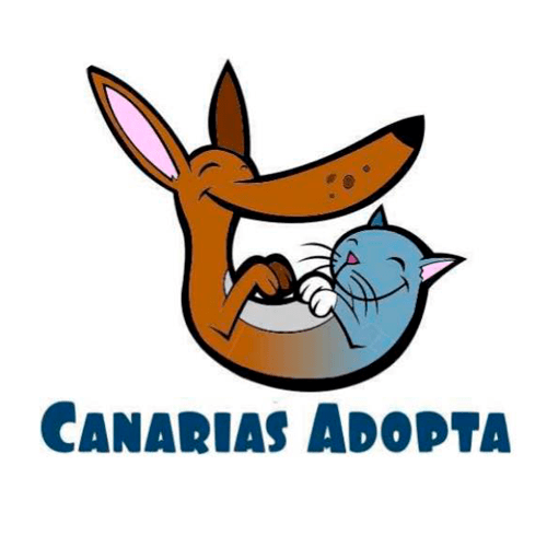 img principal ADOPTA Sitios Pet Friendly