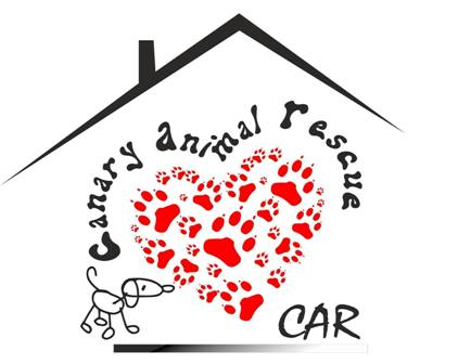 img principal ADOPTA Sitios Pet Friendly