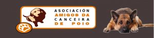 img principal ADOPTA Sitios Pet Friendly