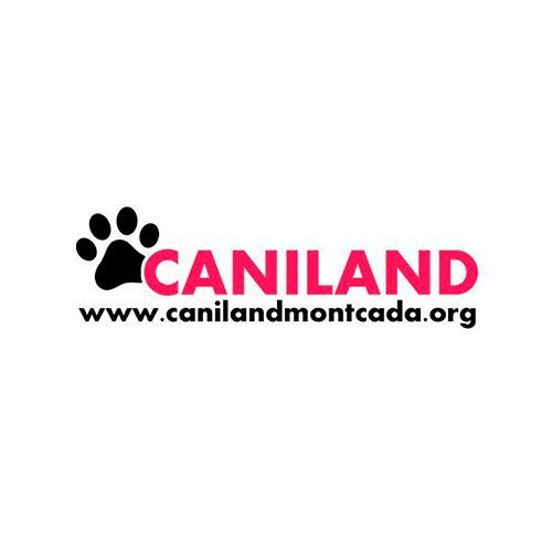 img principal ADOPTA Sitios Pet Friendly