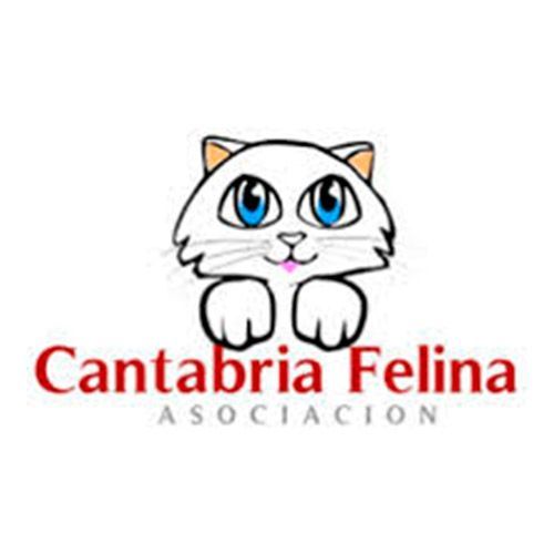 img principal ADOPTA Sitios Pet Friendly