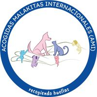 img principal ADOPTA Sitios Pet Friendly