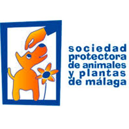 img principal ADOPTA Sitios Pet Friendly