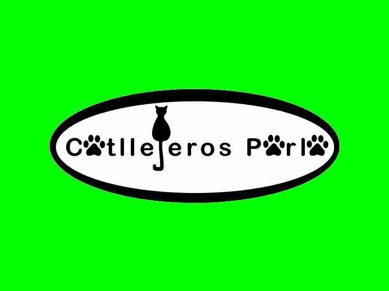 img principal ADOPTA Sitios Pet Friendly