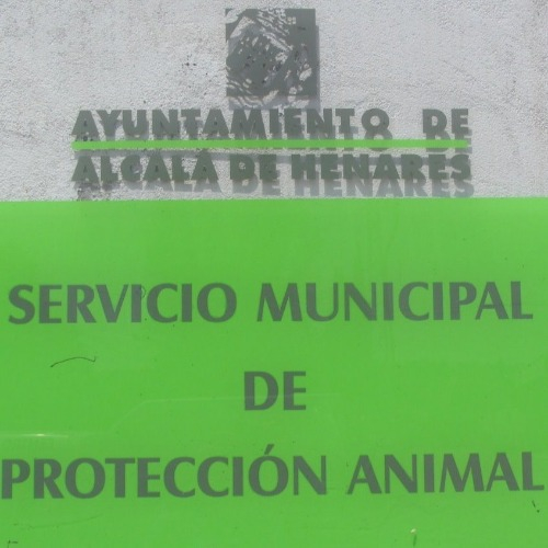 img principal ADOPTA Sitios Pet Friendly