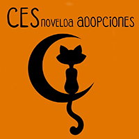 img principal ADOPTA Sitios Pet Friendly