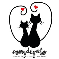 img principal ADOPTA Sitios Pet Friendly