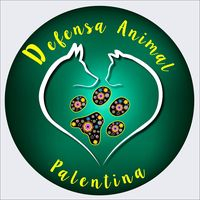 img principal ADOPTA Sitios Pet Friendly