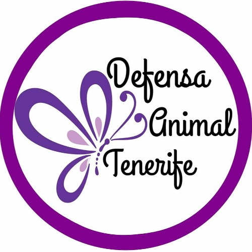 img principal ADOPTA Sitios Pet Friendly