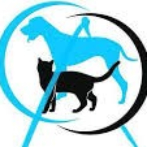 img principal ADOPTA Sitios Pet Friendly