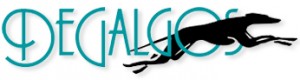 img principal ADOPTA Sitios Pet Friendly