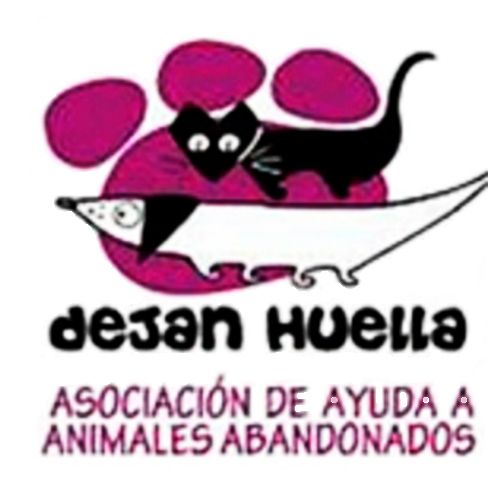 img principal ADOPTA Sitios Pet Friendly