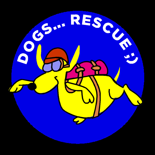 img principal ADOPTA Sitios Pet Friendly