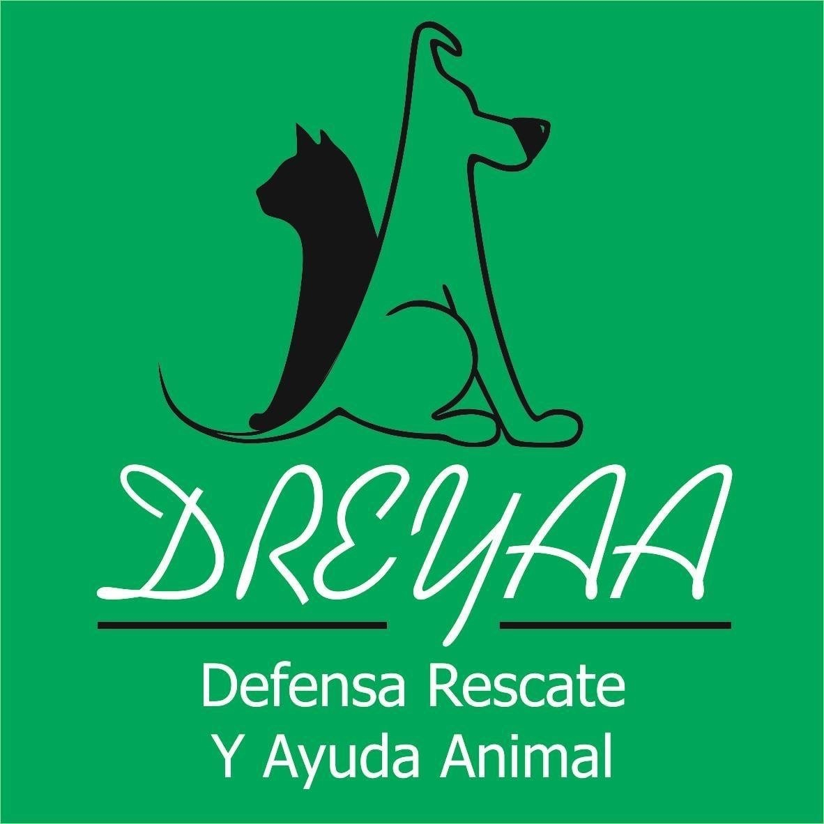 img principal ADOPTA Sitios Pet Friendly