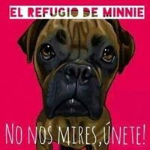 img principal ADOPTA Sitios Pet Friendly