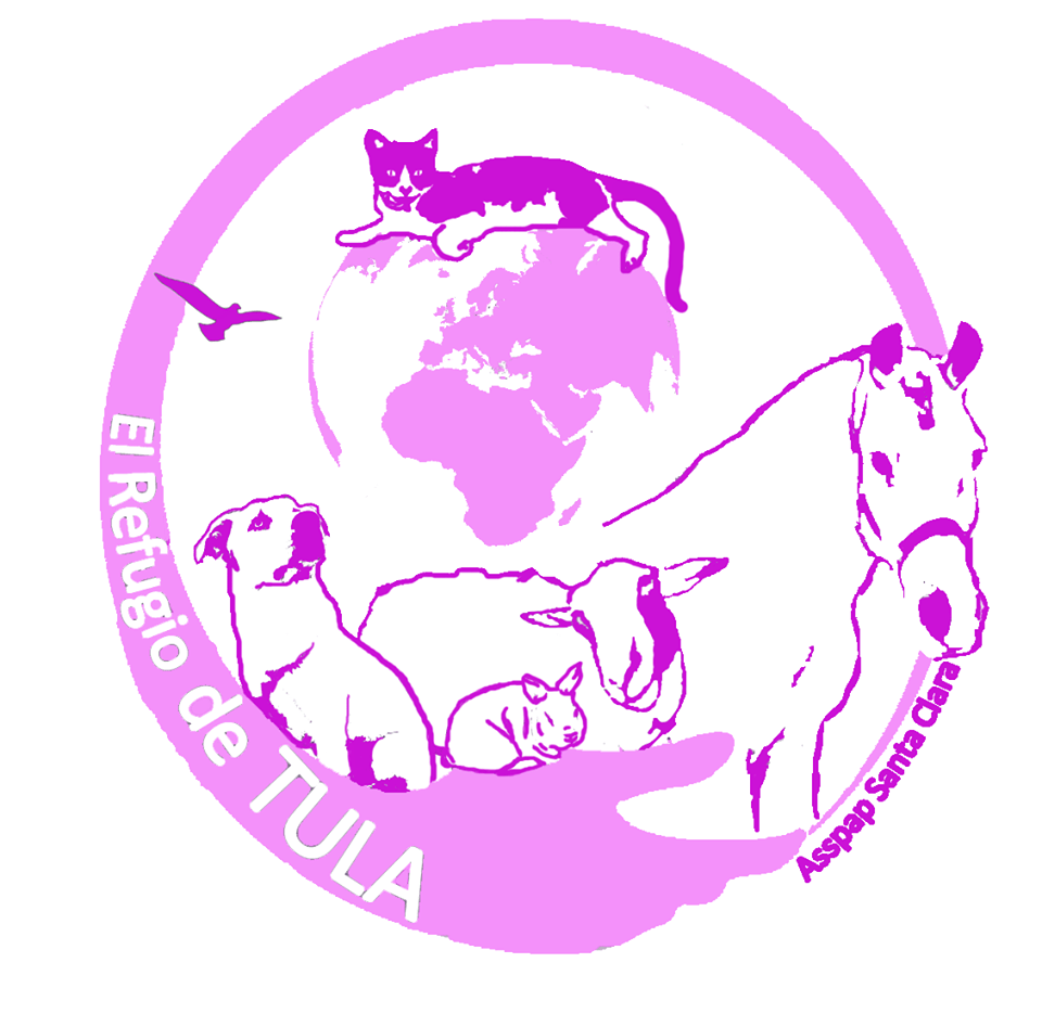 img principal ADOPTA Sitios Pet Friendly