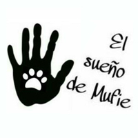 img principal ADOPTA Sitios Pet Friendly