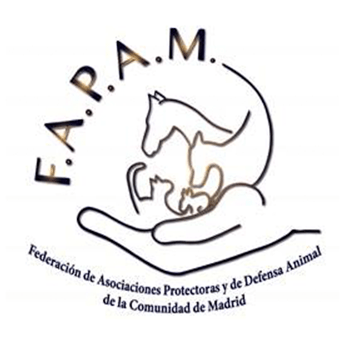 img principal ADOPTA Sitios Pet Friendly