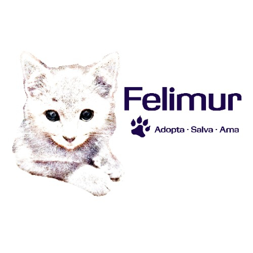 img principal ADOPTA Sitios Pet Friendly