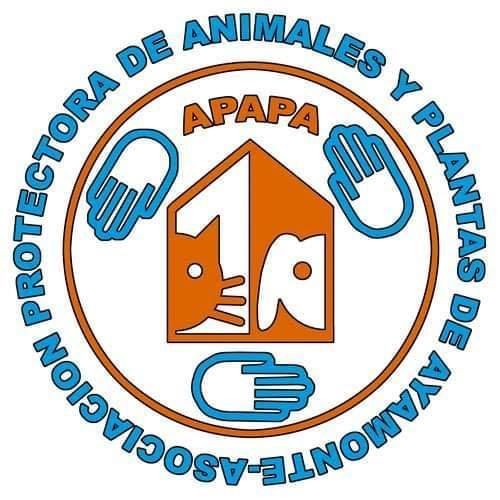 img principal ADOPTA Sitios Pet Friendly