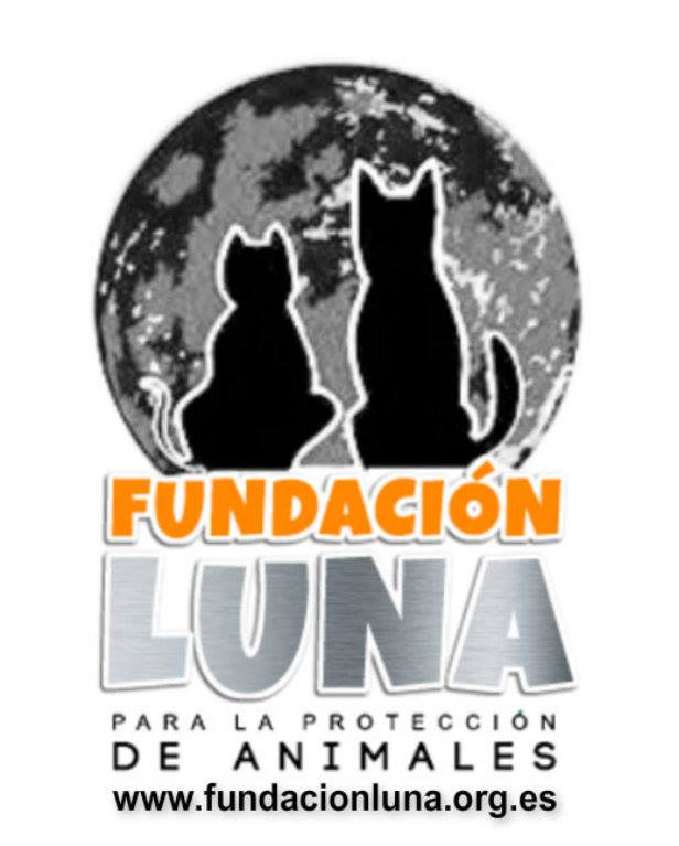 img principal ADOPTA Sitios Pet Friendly