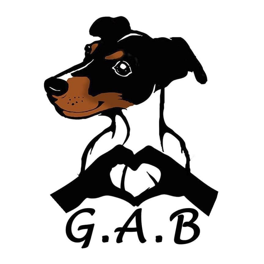 GAB Grupo de Ayuda a Bodegueros Asociación de animales en Barcelona, Barcelona ADOPTA Sitios Pet Friendly